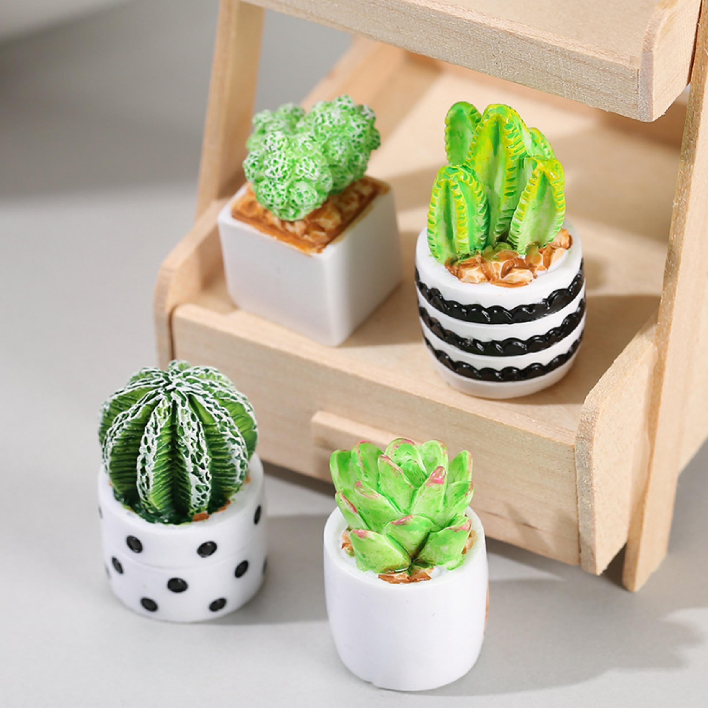 Echeveria Succulent - ชุด 4 ชิ้นของต้นกระบองเพชรและไม้อวบน้ำในกระถาง, อุปกรณ์ตกแต่งสวนเทพนิยาย, ของตกแต่งไมโครแลนด์สเคป, งานประดิษฐ์ขนาดเล็ก