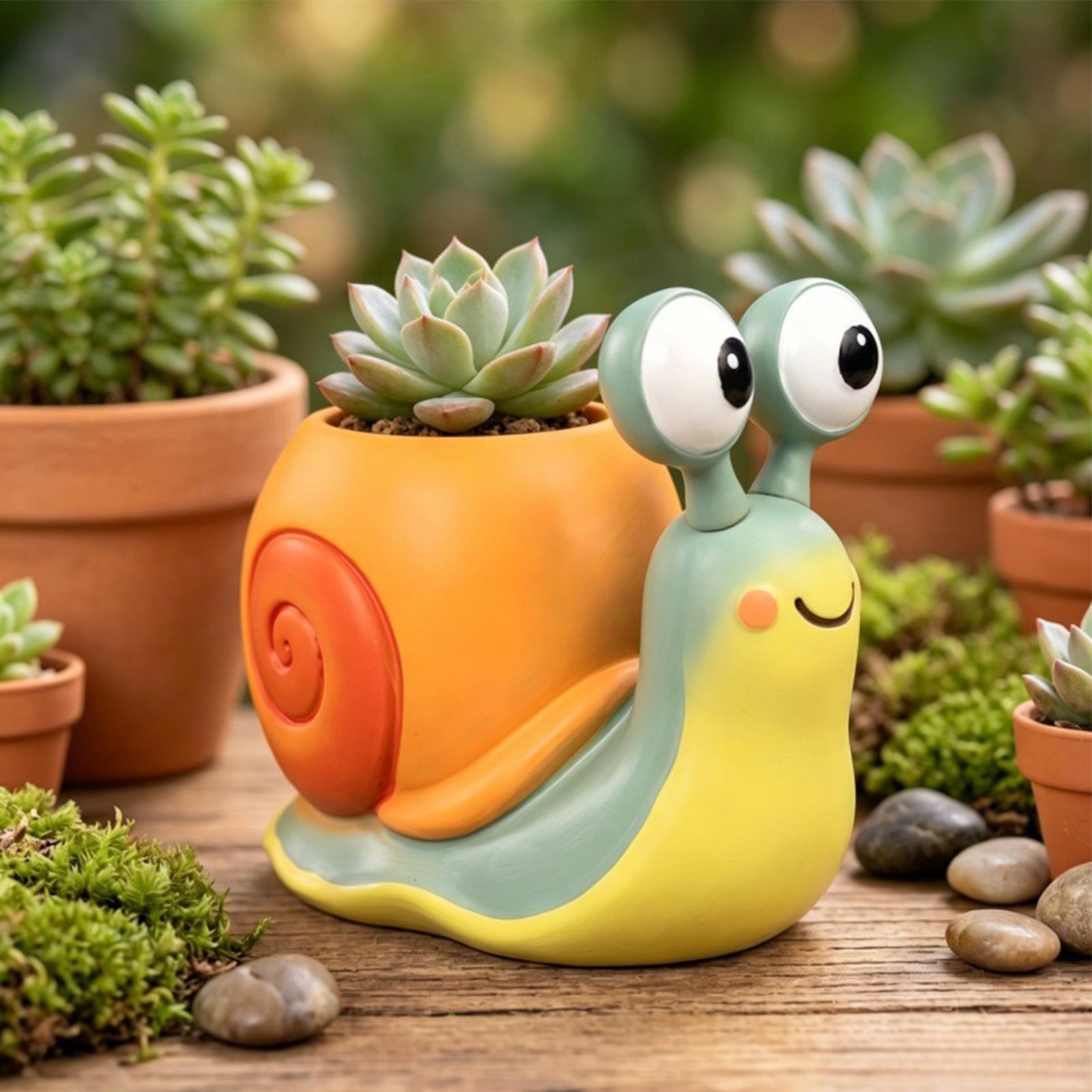 กระถางดอกไม้รูปหอยทาก กระถางดอ - Echeveria Succulent บทวิจารณ์และราคา