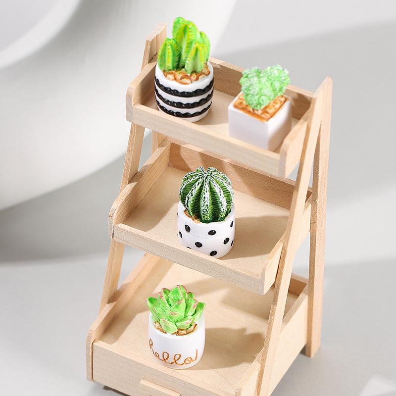 ชุด 4 ชิ้นของต้นกระบองเพชรและไ - Echeveria Succulent บทวิจารณ์และราคา